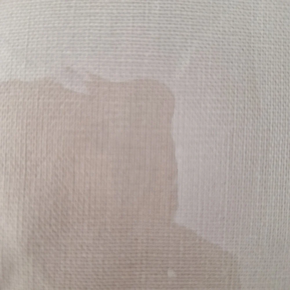 Echo Design Odyssey Euro Pillow Sham White Embroidered Border 100% Cotton NEW